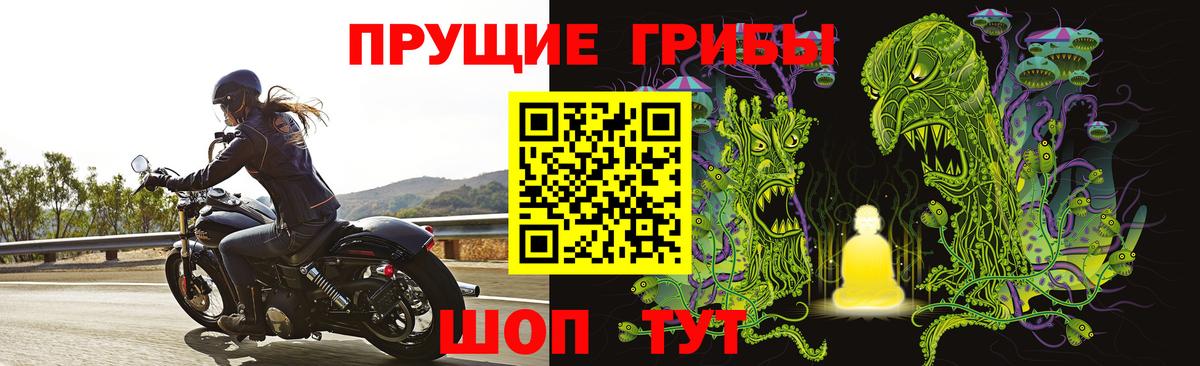 Псилоцибиновые грибы Magic Shrooms  Вход с VPN  Новочеркасск 